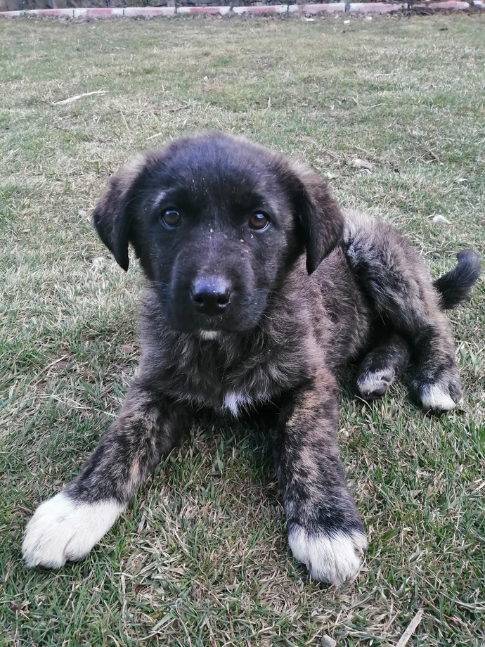 Şişmanım 😔😔