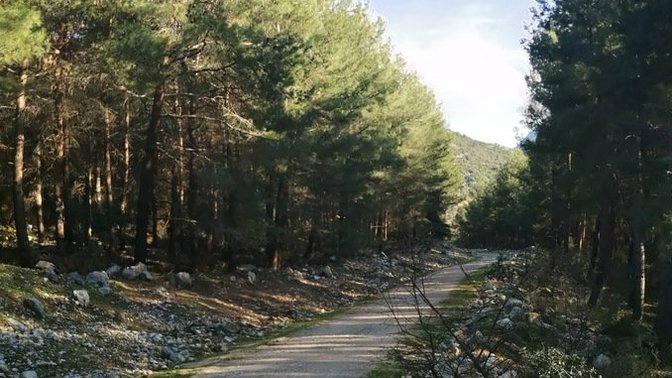 Anlamak için ne gerekli?