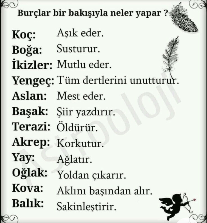 Burcuna göre tek bakışınla ne yaparsın?