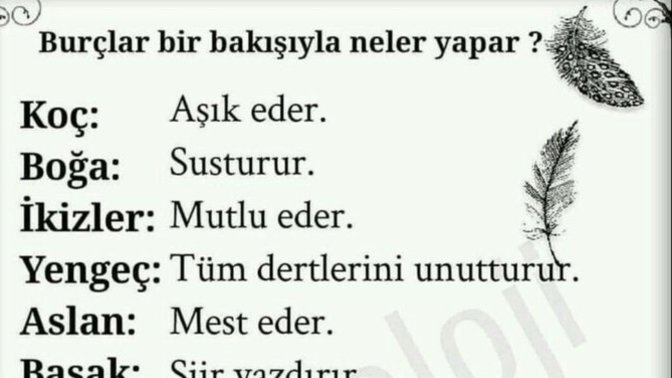 Burcuna göre tek bakışınla ne yaparsın?