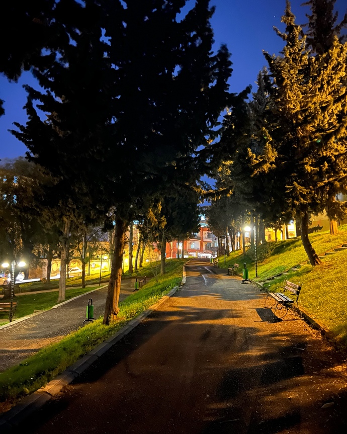 Geceleri yalnız yürüyüş yapmayı sever misiniz?