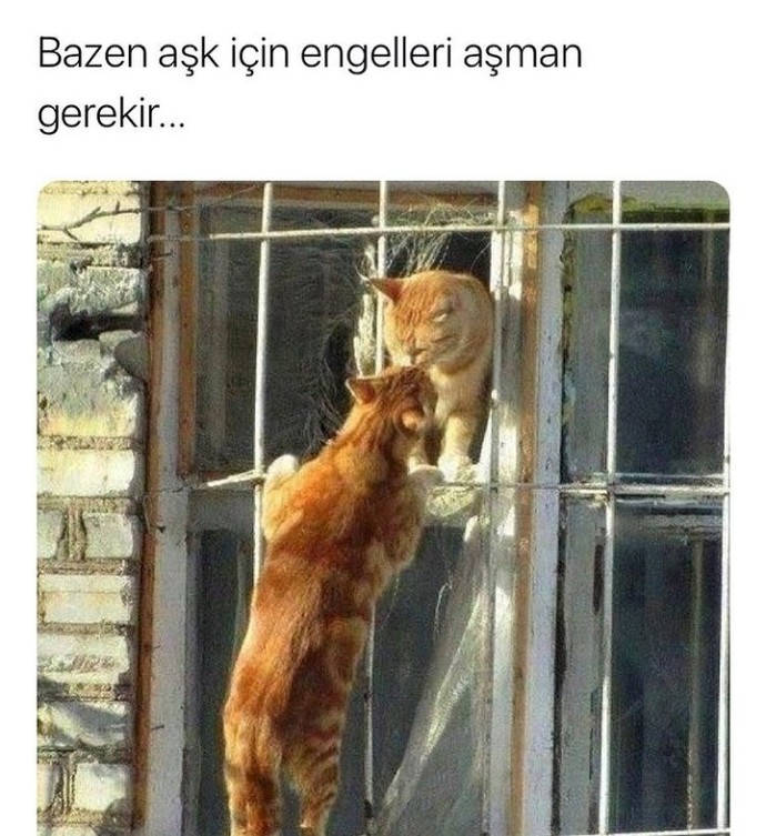 Aşk için engel aşan mı oldunuz, engele takılan mı?