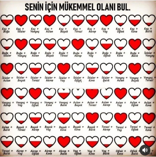 Senin için mükemmel olan burcu buldun mu?
