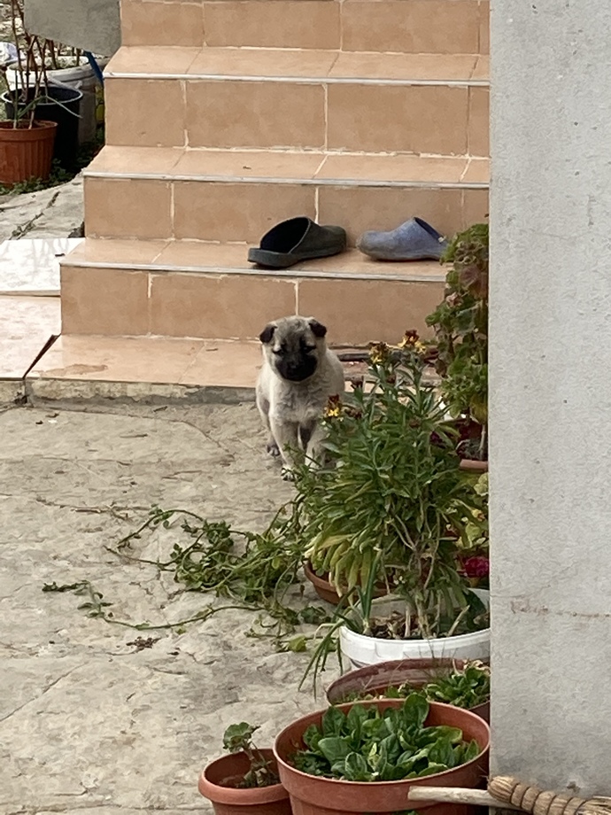 Yolunuzu gözleyen birileri var mı?