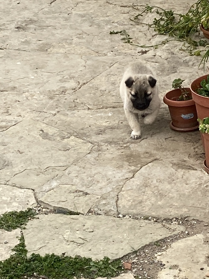 Yolunuzu gözleyen birileri var mı?