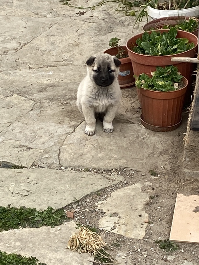 Yolunuzu gözleyen birileri var mı?
