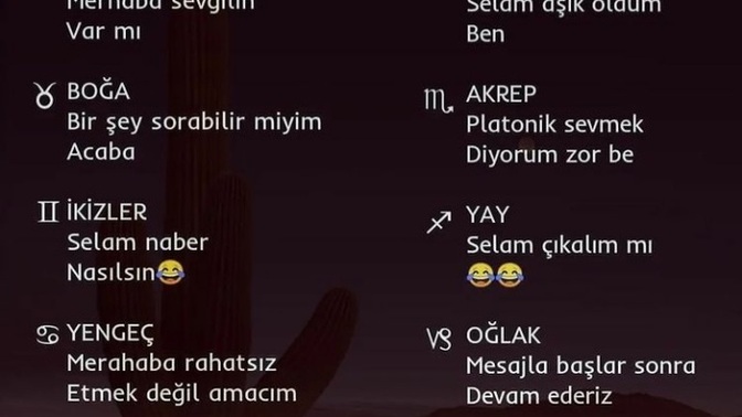Burcuna göre hoşlandığın kişiye atacağın ilk mesaj nedir?