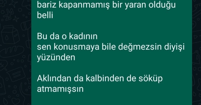 Bu yaralı kuşlar niye hep bana denk geliyor?