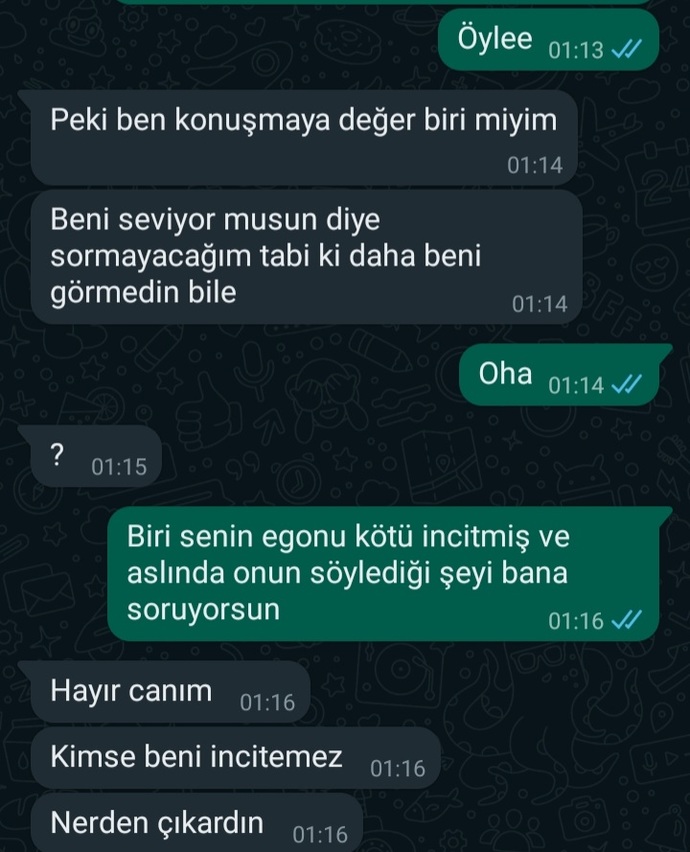 Bu yaralı kuşlar niye hep bana denk geliyor?