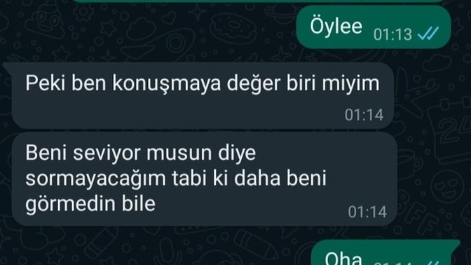 Bu yaralı kuşlar niye hep bana denk geliyor?