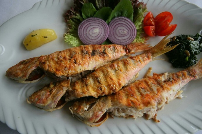 En sevdiğiniz balık çeşidi hangisidir ?