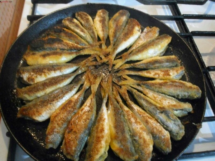 En sevdiğiniz balık çeşidi hangisidir ?
