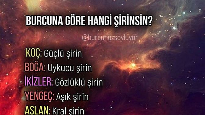 Burcuna Göre Hangi ŞirinsiN?