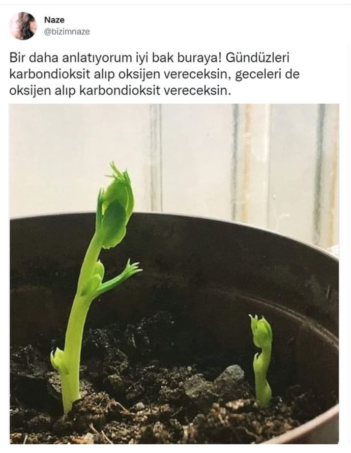 Ben ay sonu maaşıma bakarım