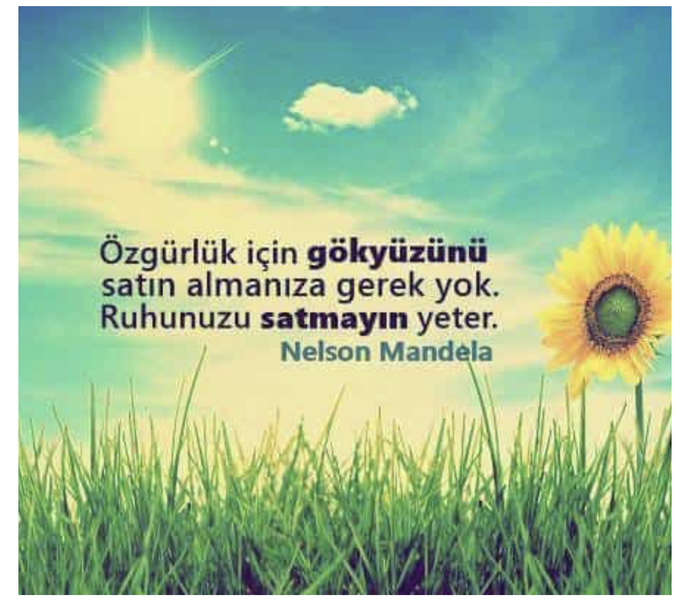 Özgürlüğünüz kimin elinde?