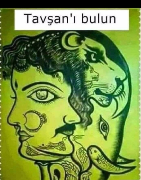 Kimin dikkat ve seçicilik algısı daha iyi bakalım.😄