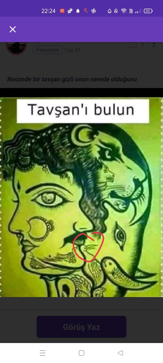 Bugün sizlerle eğlenceli resim bulma oyunu oynayacağız. Şimdi soruyorum sizlere resimdeki tavşanı bulun desem bulabilir misiniz?