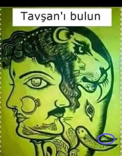 Bugün sizlerle eğlenceli resim bulma oyunu oynayacağız. Şimdi soruyorum sizlere resimdeki tavşanı bulun desem bulabilir misiniz?