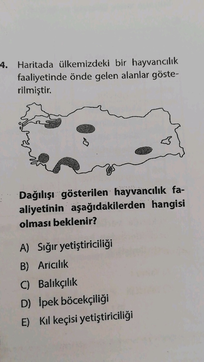 Coğrafya anlayan var mı?
