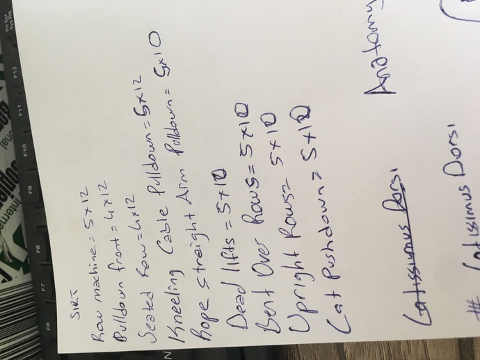 Başka workout ekleyeyim mi, yeterli mi?