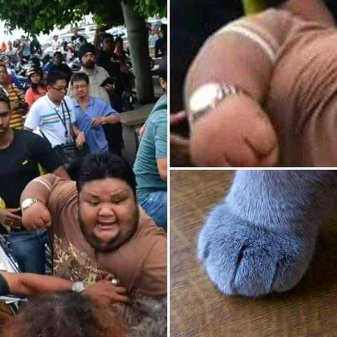 Kavgada silah kullanır mısın?