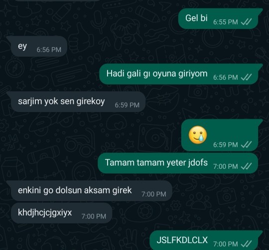 Hangi yörenin ağzı size hoş geliyor?
