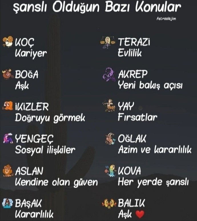 Burcuna göre şanslı olduğun konu ne?