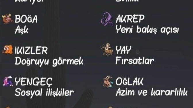 Burcuna göre şanslı olduğun konu ne?