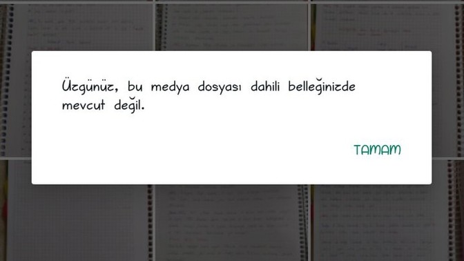 Whatsapta başkasına attığım dosyalar açılmıyor?
