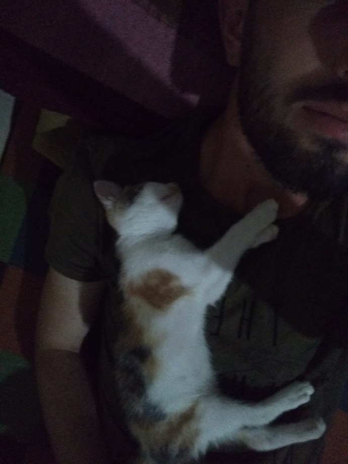 Evcil hayvanınızla birlikte uyur musunuz?