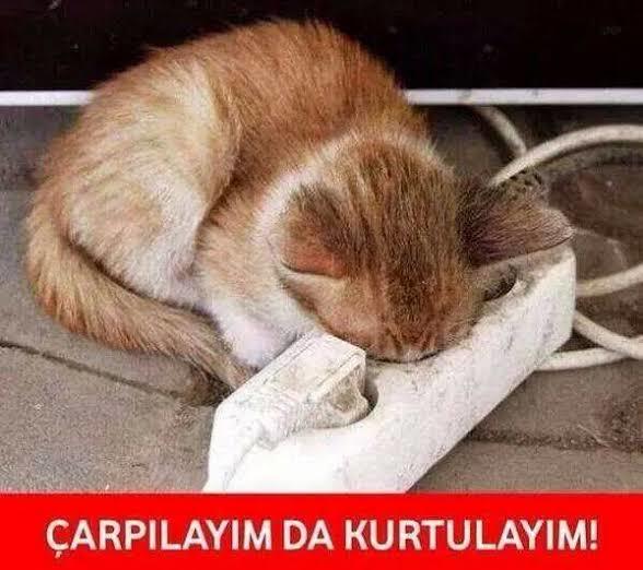 Hayatta en çok nelerden bunaldınız?
