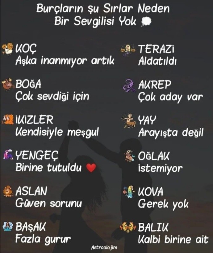 Burcuna göre neden sevgilin yok?