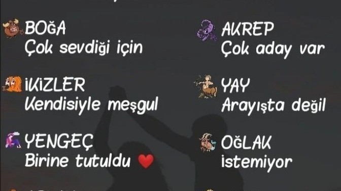 Burcuna göre neden sevgilin yok?