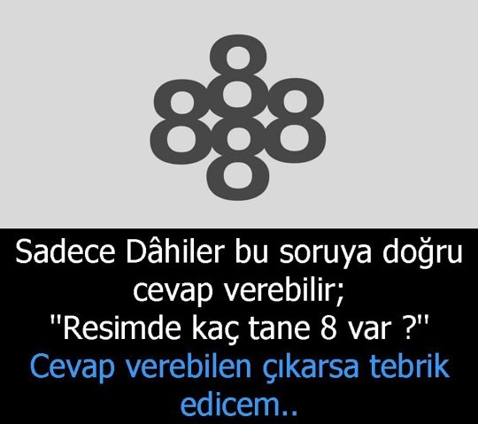 Görselde kaç tane 8 var?