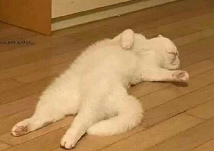 İftara son 1 saat kala ruh halin hangisi🥴?