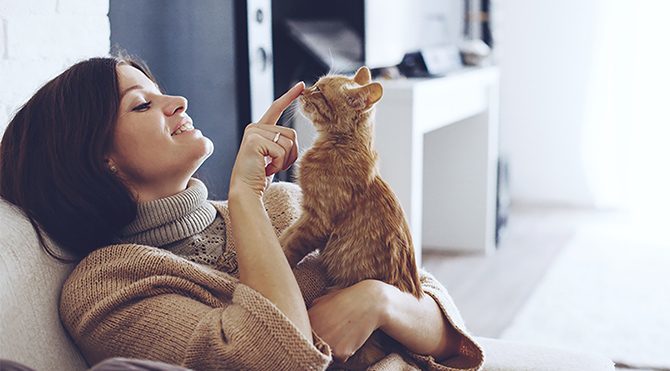 Sevgiliniz evcil hayvan beslemenize karışsa ne tepki verirsiniz?