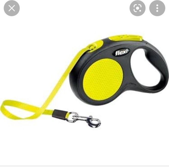 Hangi tasmayı almalıyım kopegim pinchers?
