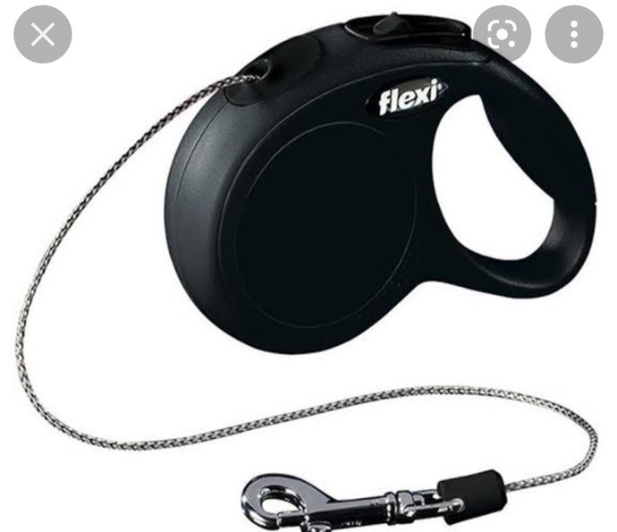 Hangi tasmayı almalıyım kopegim pinchers?