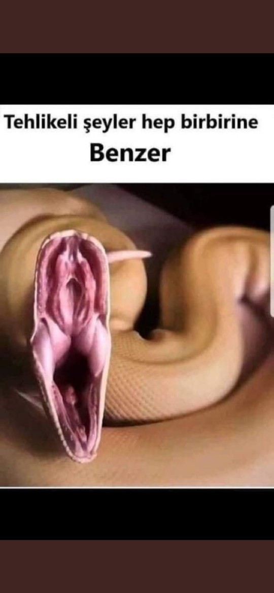 Kadın mı daha tehlikelidir yoksa yılan mı?