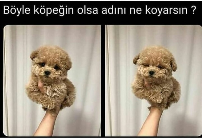 🥰🥰