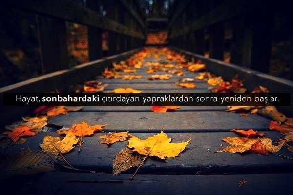 Hangi havalarda yürüyüş yapmayı seversin?