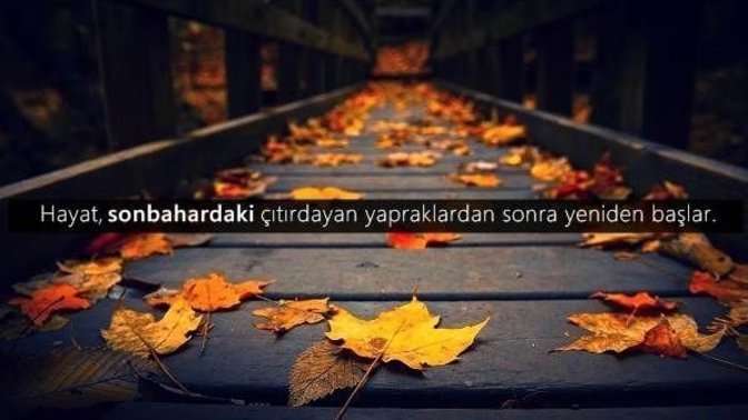 Hangi havalarda yürüyüş yapmayı seversin?