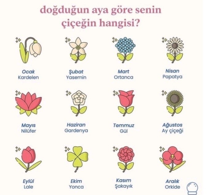 Doğduğun aya göre senin çiçeğin hangisi?