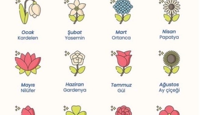 Doğduğun aya göre senin çiçeğin hangisi?
