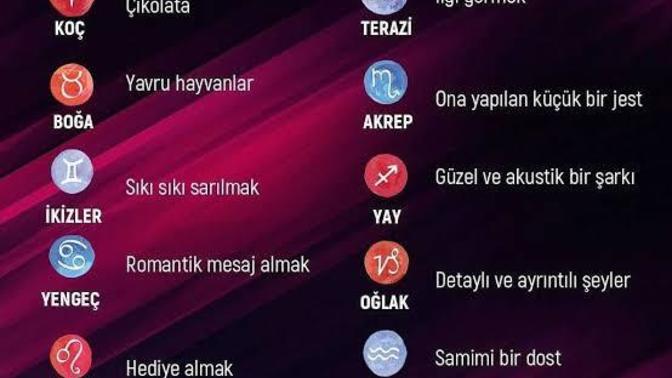 Burcuna göre en sevdiğin şey hangisi?