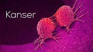 Kanser Nedir Ve Nasıl Mücadele Edilir?#kanser?