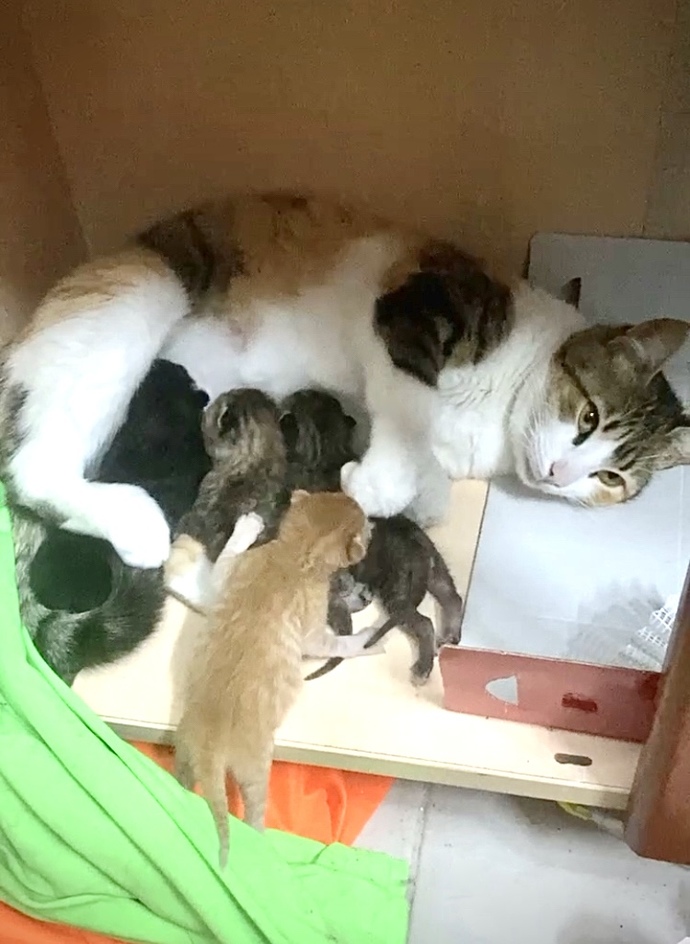 Gününüzü güzelleştiren bir şeyler var mı?