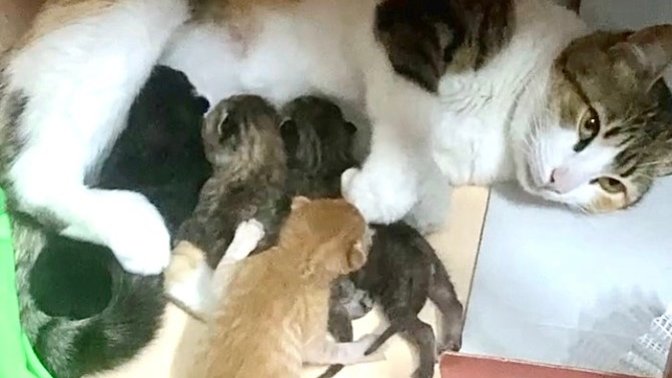 Gününüzü güzelleştiren bir şeyler var mı?
