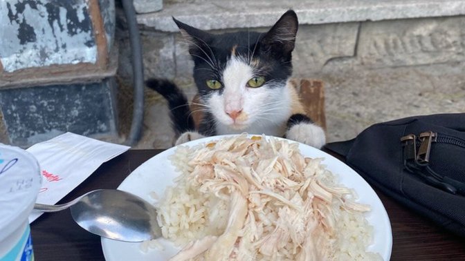 İlk buluşmada tavuk dönerciye götüren erkek var mıdır, Bu ilişkinin gideri ne kadar sürer, ne kadar samimi olur?
