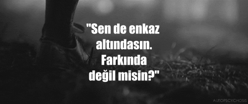 Hayatınızda korkak ve cesaretsiz insanların yeri var mı?